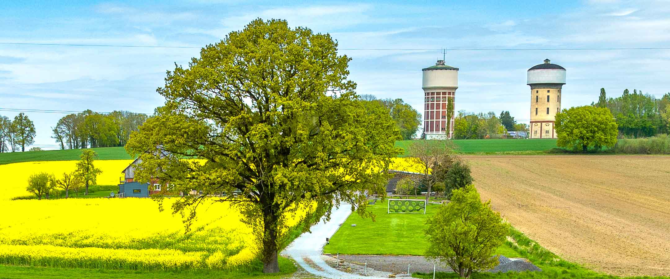 Ländliche Szenerie mit einem großen, belaubten Baum im Vordergrund, eingerahmt von einem leuchtend gelben Rapsfeld links und einem frisch gepflügten Acker rechts. Ein schmaler Weg führt durch das Feld zu einem Bauernhaus. Im Hintergrund stehen zwei markante Wassertürme – einer rot-weiß gemauert, der andere beige – auf einem Hügel, umgeben von Bäumen und Wiesen unter einem leicht bewölkten Himmel.