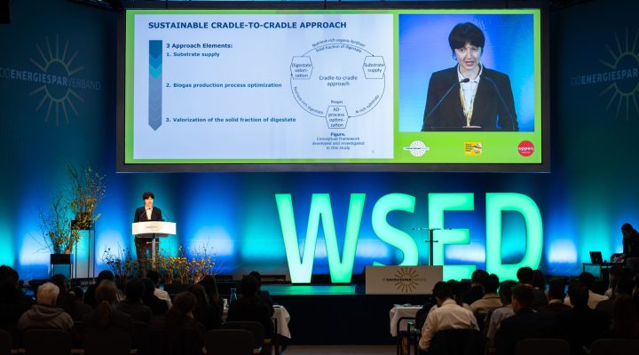Auf einer Bühne spricht eine Person mit kurzem dunklen Haar im schwarzen Blazer an einem Rednerpult. Hinter ihr befindet sich eine große Präsentationsfolie mit dem Titel ‚Sustainable Cradle-to-Cradle Approach‘. Die Folie zeigt drei Hauptpunkte sowie ein Kreismodell zur Kreislaufwirtschaft bei Biogasproduktion. Daneben ist ein großes Porträt der sprechenden Person auf einem zweiten Bildschirm eingeblendet. Vor der Bühne sitzen zahlreiche Zuhörerinnen und Zuhörer. Die Bühne ist in Blau- und Grüntönen beleuchtet, und der Schriftzug ‚WSED‘ ist in großen, leuchtenden Buchstaben zu sehen.